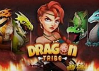 Изображение игрового автомата Dragon Tribe